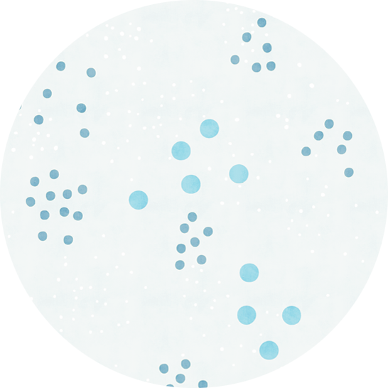 Pencil Case Long Hummingbird