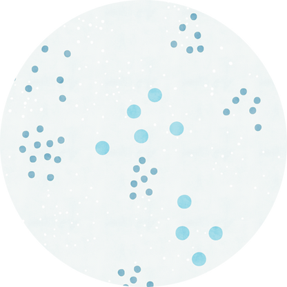 Pencil Case Long Hummingbird